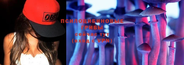 соль ск Богородицк