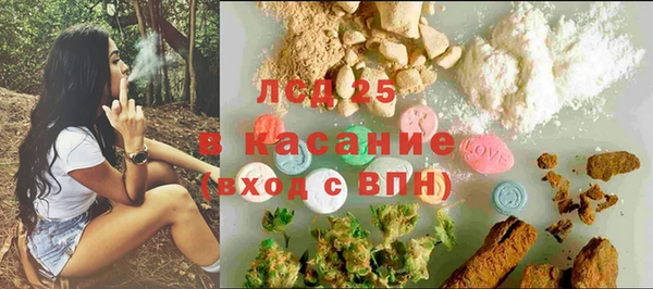 spice Сосновоборск