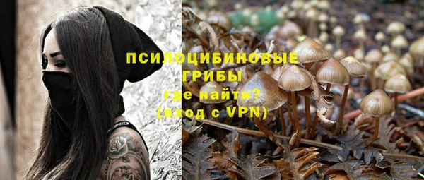a pvp Богданович