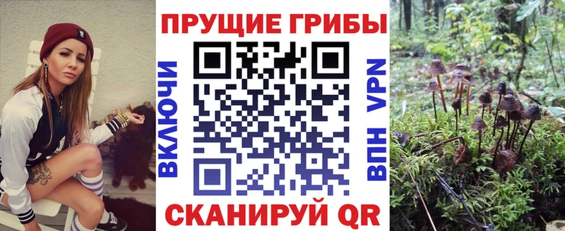 Галлюциногенные грибы MAGIC MUSHROOMS  как найти наркотики  Карабулак 